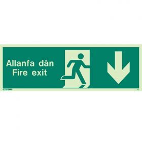Jalite Allanfa Dan Fire Exit Sign - Down Arrow - 481U