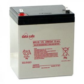Enersys Datasafe NPX25-12 Battery - 12V 5Ah 23W