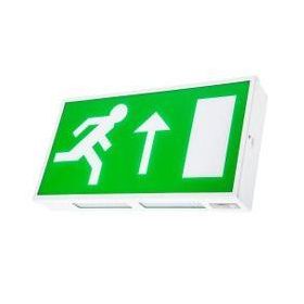 Channel Safety Dale LED Fire Exit Sign Emergency Light - E/DA/M3/LED/2/ST (Supply With Down Arrow Pictogram)