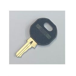 Advanced MXS-011 Spare Panel Door Key For MxPro 4 Panel